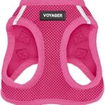 Voyager Step-in Air Dog Harness - All Weather Mesh Step in Vest Harness for Small and Medium Dogs by Best Pet Supplies - Harness (Fuchsia), Small