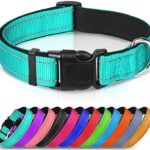 Joytale Reflective Dog Collar,Soft Neoprene Padded Breathable Nylon Pet Collar Adjustable for Large Dogs,Teal,L