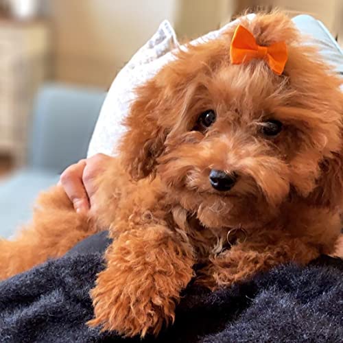 YAKA 60PCS (30 Paris) Cute Puppy Dog Small Bowknot Hair Bows with Rubber Bands Handmade Hair Accessories Bow Pet Grooming Products (60 Pcs,Cute Patterns) (Rubber Bands Style 1) - Image 6