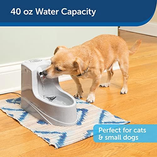 PetSafe Drinkwell Mini Pet Fountain for Cats & Small Dogs- Water Filter Included- Flowing Dispenser Encourages Hydration- Adjustable Knob Enables Water Flow Customization- Perfect for Small Spaces - Image 4