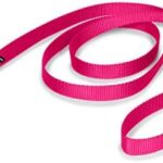 PetSafe Nylon Dog Leash - Strong, Durable, Traditional Style Leash with Easy to Use Bolt Snap - 3/4 in. x 6 ft., Raspberry Pink
