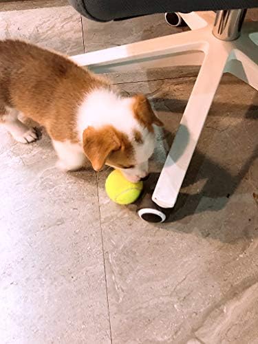 insum Tennis Ball for Dog Pack of 12 Colorful Easy Catching Pet Dog Ball (2.5'',12Pack) - Image 4