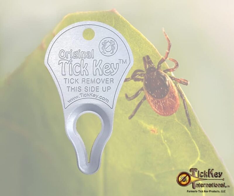 The Original Tick Key - Tick Detaching Device - Portable, Safe and Highly Effective Tick Detaching Tool (Silver) - Image 3