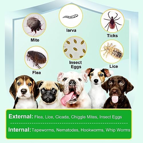 Flea & Tick Prevention for Dogs Chewable, Natural Flea and Tick Supplement for Dogs, 150 Flea and Tick Chews for Dogs, Oral Flea Pills for All Breeds and Ages Dogs - Image 2