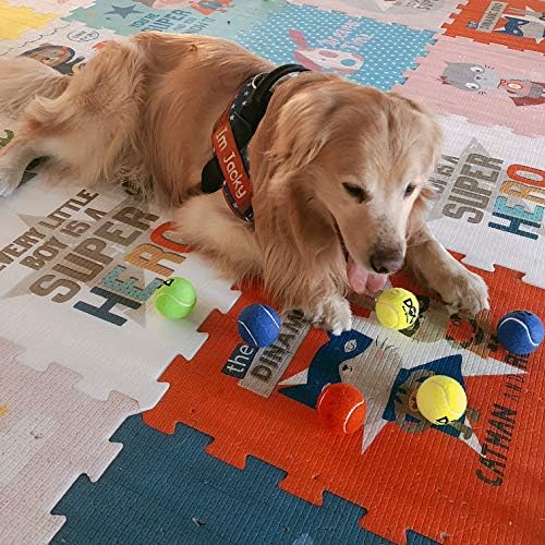 insum Tennis Ball for Dog Pack of 12 Colorful Easy Catching Pet Dog Ball (2.5'',12Pack) - Image 3