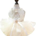 ANIAC Embroidered Dog Dress for Small Dog,Girl Puppy Princess Tutu Dress with Leash Ring,Cat Apparel,Chihuahua Yorkie Clothes for Birthday Wedding (Large, Champagne)