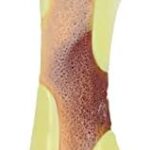Tikaton Dog Chew Toys for Aggressive Chewers, Peanut Butter Flavor Durable Dog Teething Chew Toys Bones for Large/Medium/Small Puppies