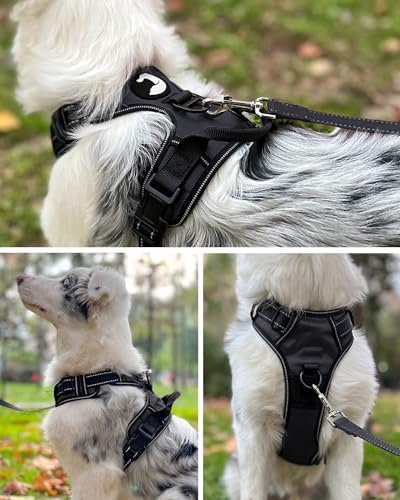 Joytale No Pull Dog Harness for Small Dogs, Reflective Pet Vest with Front Clip, Adjustable Soft Padded Harnesses with Easy Control Handle for Training and Walking, Black, S - Image 4