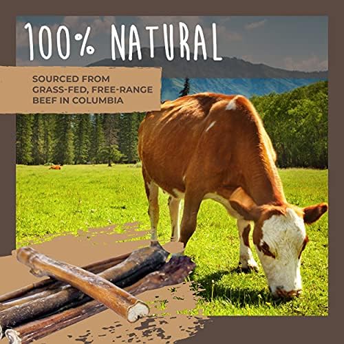 Mighty Paw Naturals Large Bully Sticks for Dogs, Protein Rich Dog Chews from Grass-Fed Beef | Thick Bully Sticks for Dental Health | Large and Small Dogs | Aggressive Chewers | 6 or 12 Inch Variety - Image 3