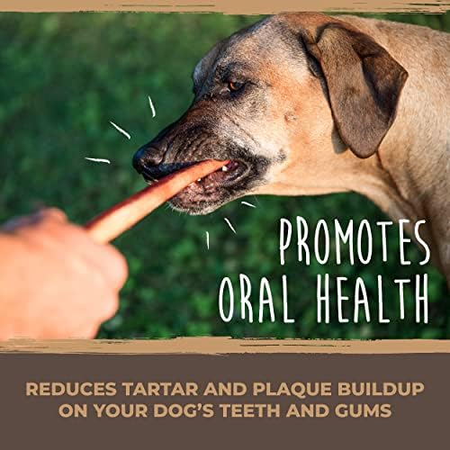 Mighty Paw Naturals Large Bully Sticks for Dogs, Protein Rich Dog Chews from Grass-Fed Beef | Thick Bully Sticks for Dental Health | Large and Small Dogs | Aggressive Chewers | 6 or 12 Inch Variety - Image 6
