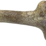 Pet Qwerks Dinosaur BarkBone - Nylon Dog Bone for Aggressive Chewers - Steak Flavor - 6.5"