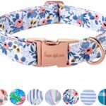 Unique style paws Dog Collar Metal Buckle Collar Gift for Small Medium Large Boys Girls Dogs