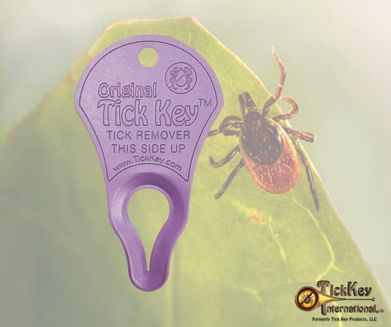 The Original Tick Key - Tick Detaching Device - Portable, Safe and Highly Effective Tick Detaching Tool (Magenta) - Image 4