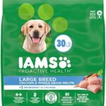 IAMS Adult High Protein Large Breed Dry Dog Food with Real Chicken, 30 lb. Bag