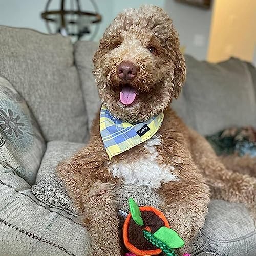 Gofshy Summer Dog Bandana XLarge-Dog Scarf Vibrant Color Yellow Blue Plaid Printing Adjustable Bib Handkerchief Accessories for Large Dogs (XL) - Image 4