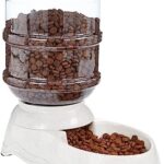 Amazon Basics Gravity Pet Food Feeder for Dogs and Cats, Small, 6-Pound Capacity, Gray